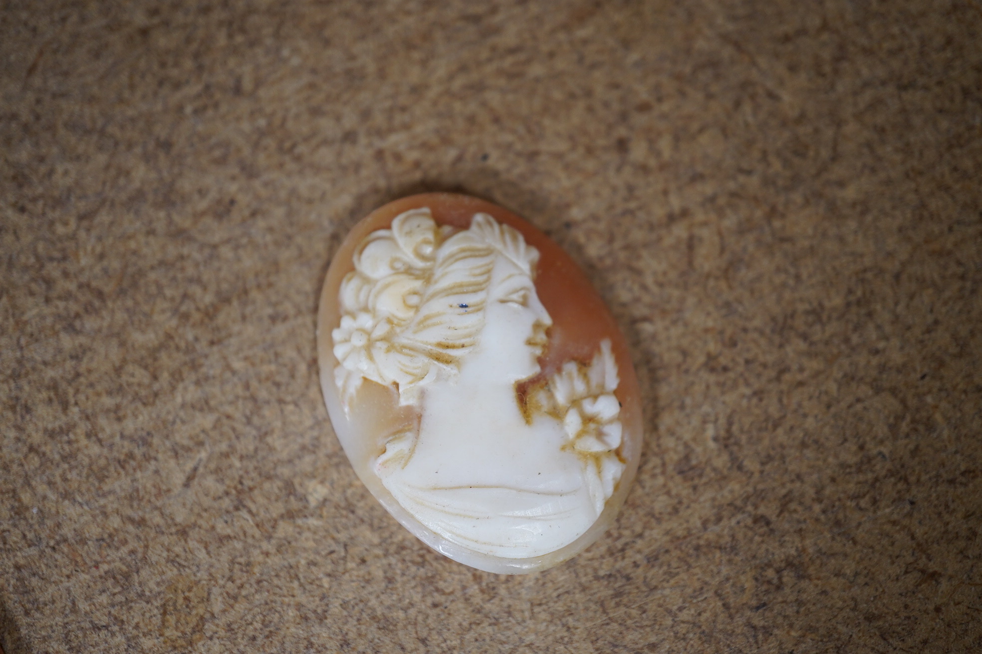 A quantity of assorted unmounted carved mainly cameo shells, largest 49mm, smallest 6mm. Condition - poor to good